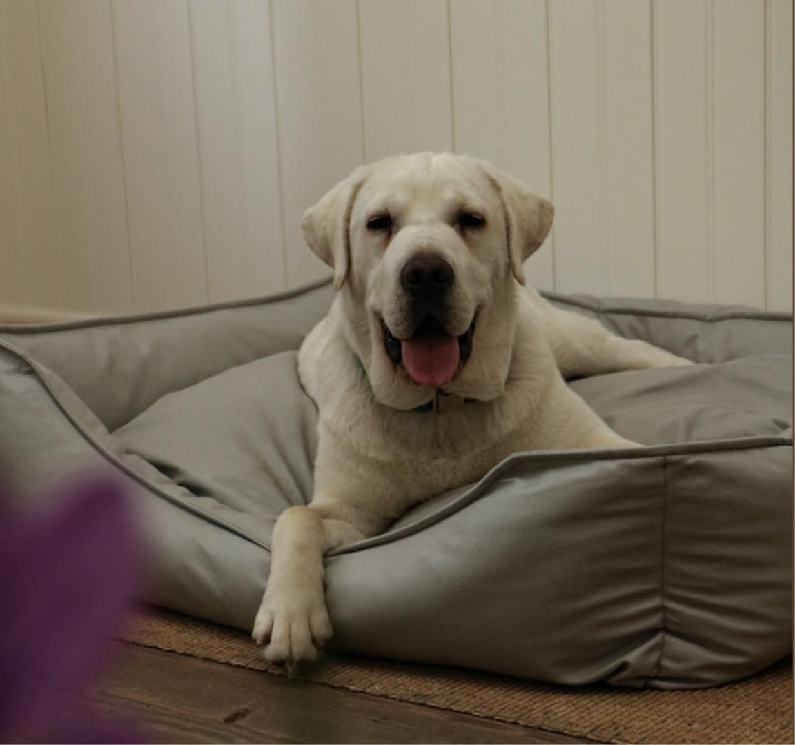 Amazon.co.jp: ペットベッド 猫 ベッド 犬 ベッド 犬小屋 犬